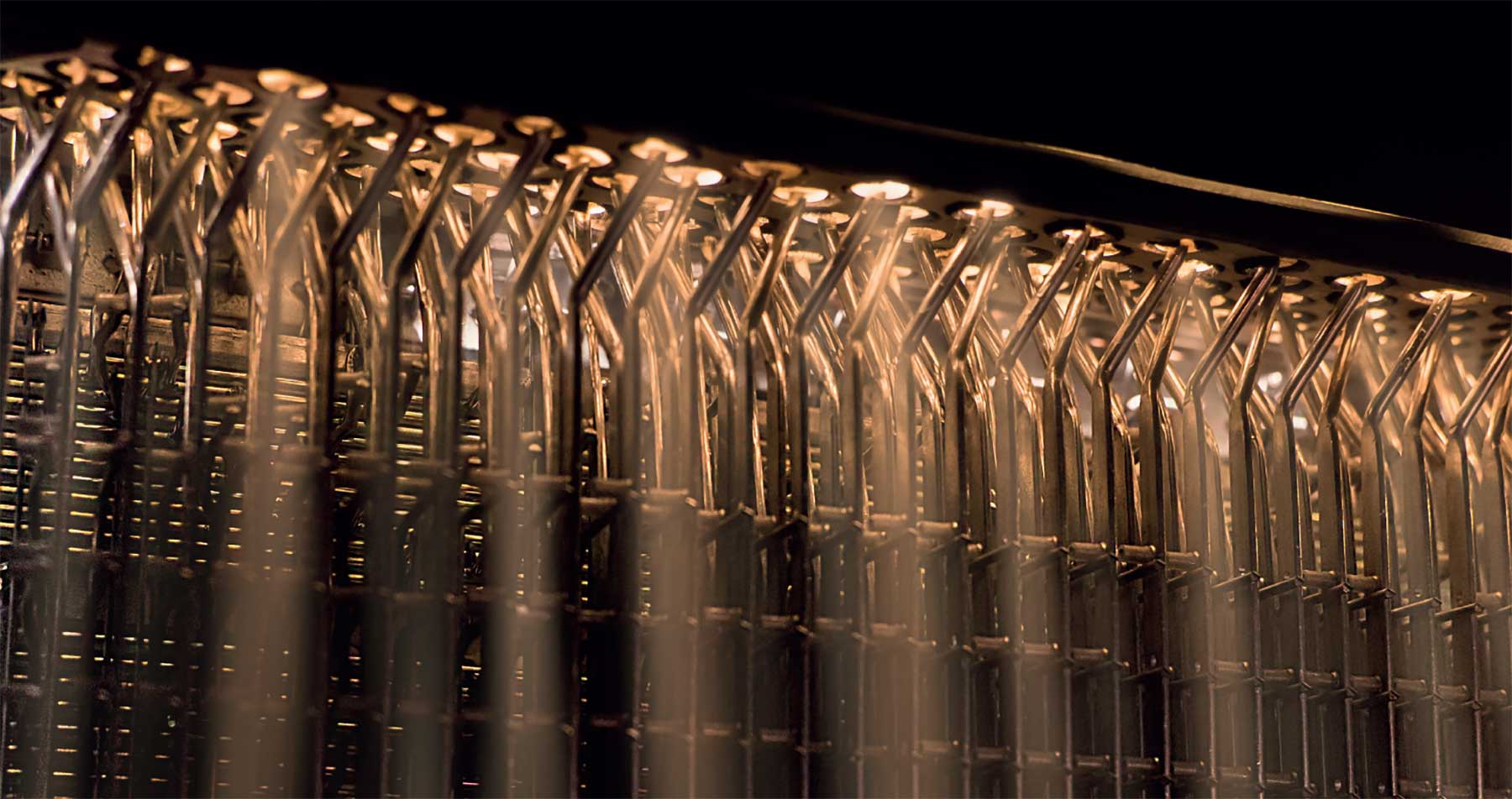 fisitalia-accordions-slide-1